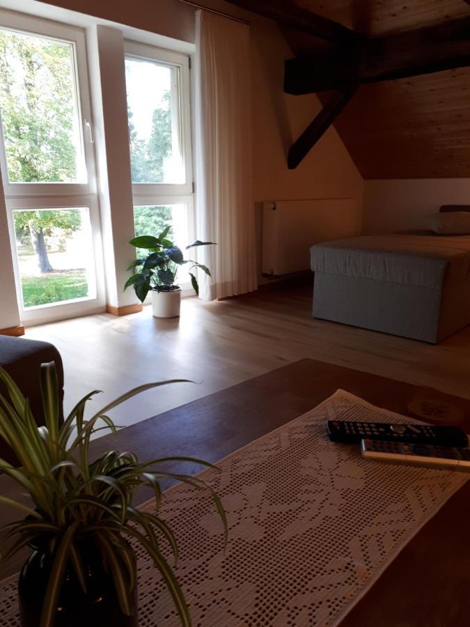 Apartamento Feriendomizil Annette'S Scholle Sondershausen Exterior foto